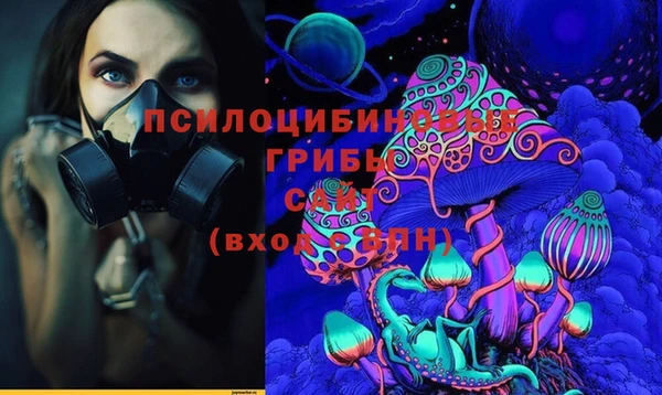 mdpv Новокубанск