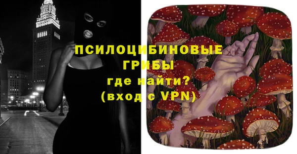 Альфа ПВП Новодвинск