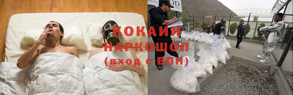 Альфа ПВП Новодвинск