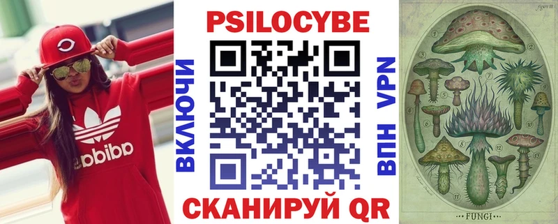 купить  цена  Ефремов  гидра маркетплейс  Галлюциногенные грибы мухоморы 